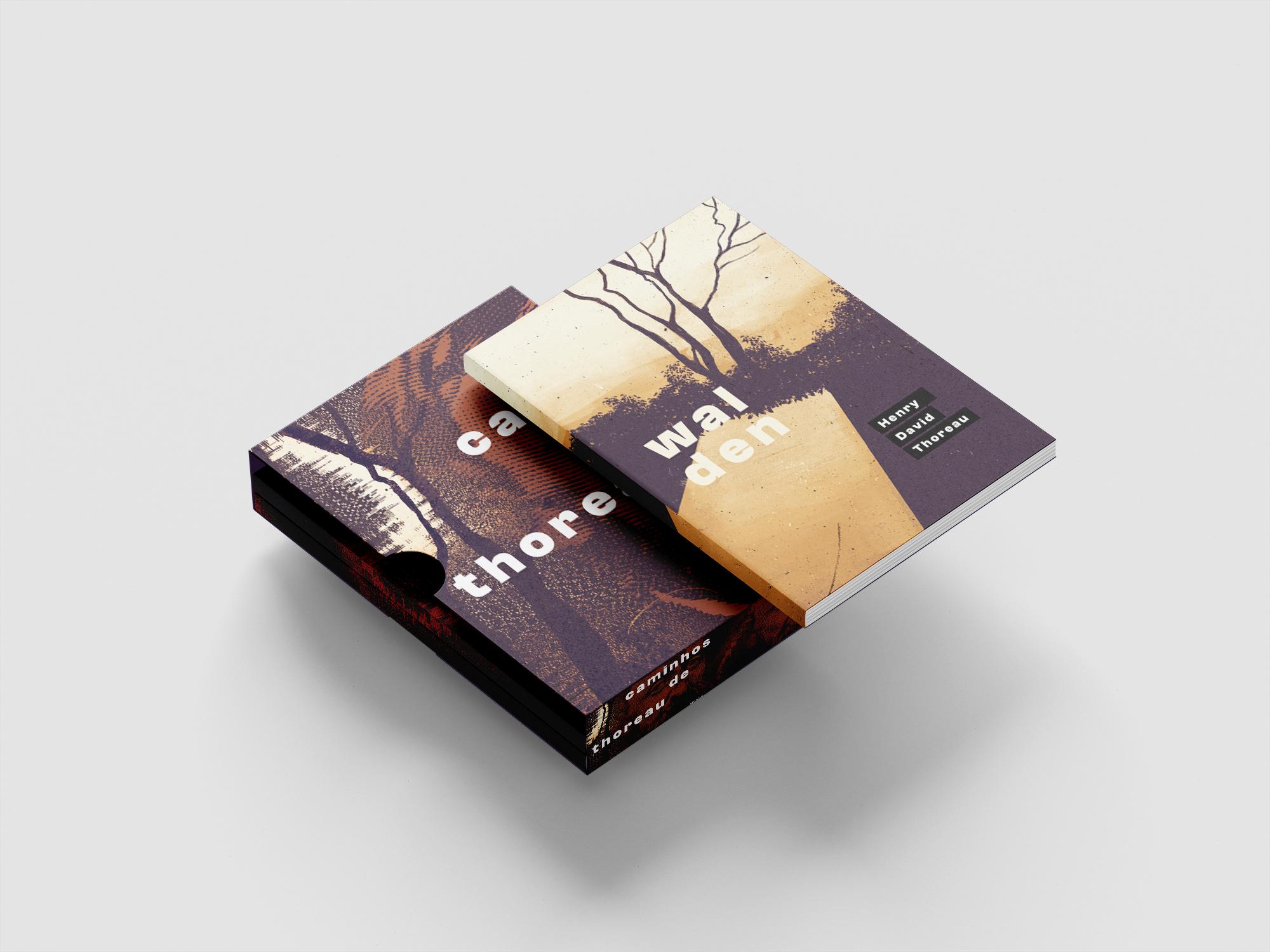 box — illustration by Marcius Cavalcanti